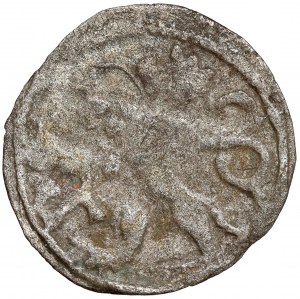 Bohême, Glatz, Halerz (1501-1534)