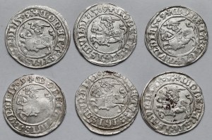 Sigismund I the Old, Vilnius 1509 half-penny - set (6pcs)