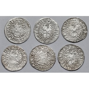 Zygmunt I Stary, Półgrosze Wilno 1509 - zestaw (6szt)