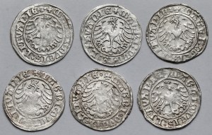 Sigismund I the Old, Vilnius 1509 half-penny - set (6pcs)