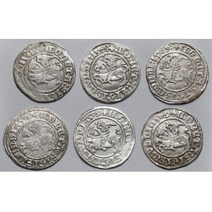 Zygmunt I Stary, Półgrosze Wilno 1509 - zestaw (6szt)
