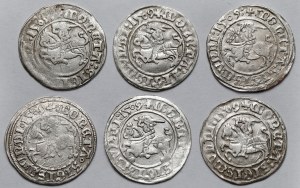 Sigismund I the Old, Vilnius 1509 half-penny - set (6pcs)