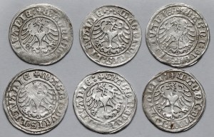 Sigismund I the Old, Vilnius 1509 half-penny - set (6pcs)