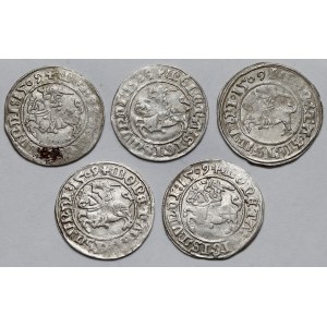 Zygmunt I Stary, Półgrosze Wilno 1509 - zestaw (5szt)