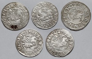 Sigismund I the Old, Vilnius 1509 half-penny - set (5pcs)