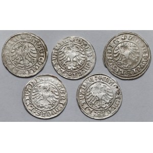 Zygmunt I Stary, Półgrosze Wilno 1509 - zestaw (5szt)
