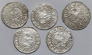Sigismund I the Old, Vilnius 1509 half-penny - set (5pcs)