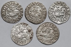 Sigismund I the Old, Vilnius 1512 half-penny - set (5pcs)