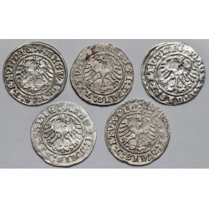 Zygmunt I Stary, Półgrosze Wilno 1512 - zestaw (5szt)