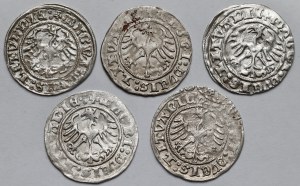 Sigismund I the Old, Vilnius 1512 half-penny - set (5pcs)