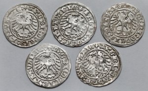 Sigismund I the Old, Vilnius 1512 half-penny - set (5pcs)