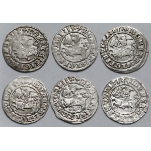 Zygmunt I Stary, Półgrosze Wilno 1513 - zestaw (6szt)