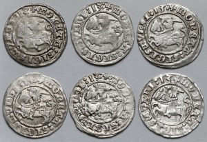 Sigismund I the Old, Vilnius 1513 half-penny - set (6pcs)