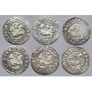 Zygmunt I Stary, Półgrosze Wilno 1513 - zestaw (6szt)
