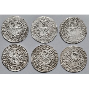 Zygmunt I Stary, Półgrosze Wilno 1513 - zestaw (6szt)