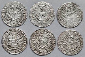 Sigismund I the Old, Vilnius 1513 half-penny - set (6pcs)