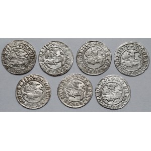 Zygmunt I Stary, Półgrosze Wilno 1513 - zestaw (7szt)