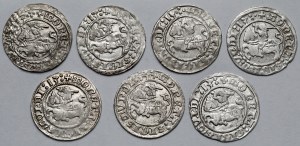 Sigismund I the Old, Vilnius 1513 half-penny - set (7pcs)