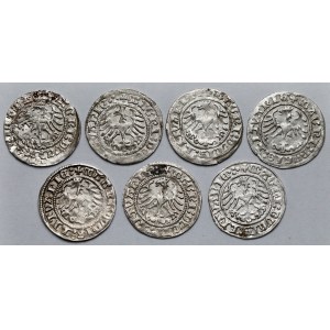Zygmunt I Stary, Półgrosze Wilno 1513 - zestaw (7szt)