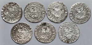 Sigismund I the Old, Vilnius 1513 half-penny - set (7pcs)