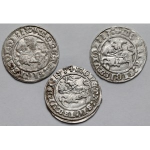 Zygmunt I Stary, Półgrosze Wilno 1513 - zestaw (3szt)