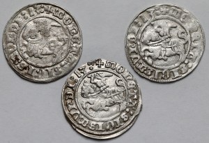 Sigismund I the Old, Vilnius 1513 half-penny - set (3pcs)