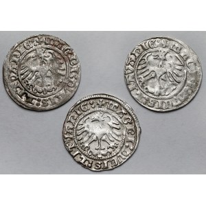 Zygmunt I Stary, Półgrosze Wilno 1513 - zestaw (3szt)