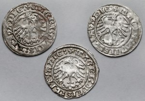 Sigismund I the Old, Vilnius 1513 half-penny - set (3pcs)