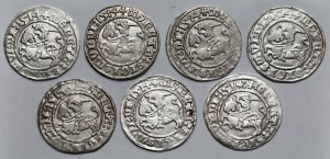 Sigismund I the Old, Vilnius 1514 half-penny - set (7pcs)