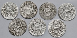 Sigismund I the Old, Vilnius 1514 half-penny - set (7pcs)