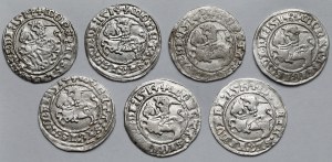 Sigismund I the Old, Vilnius 1514 half-penny - set (7pcs)