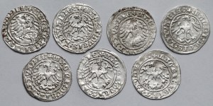Sigismund I the Old, Vilnius 1514 half-penny - set (7pcs)