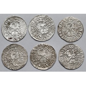 Zygmunt I Stary, Półgrosze Wilno 1515 - zestaw (6szt)