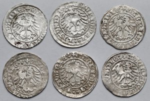 Sigismund I the Old, Vilnius 1515 half-penny - set (6pcs)