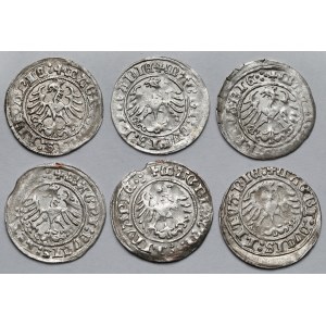 Zygmunt I Stary, Półgrosze Wilno 1516 - zestaw (6szt)