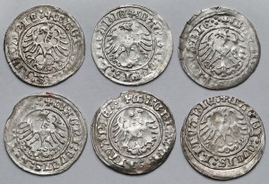 Sigismund I the Old, Vilnius 1516 half-penny - set (6pcs)