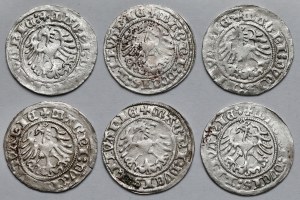 Sigismund I the Old, Half-penny Vilnius 1517-1518 - set (6pcs)