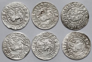 Sigismund I the Old, Half-penny Vilnius 1517-1518 - set (6pcs)