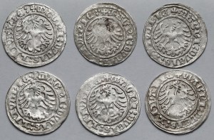 Sigismund I the Old, Half-penny Vilnius 1517-1518 - set (6pcs)