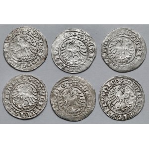 Zygmunt I Stary, Półgrosze Wilno 1517-1518 - zestaw (6szt)