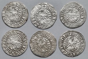 Sigismund I the Old, Half-penny Vilnius 1517-1518 - set (6pcs)