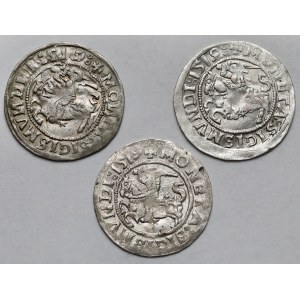 Zygmunt I Stary, Półgrosze Wilno 1519 - zestaw (3szt)