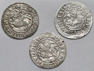 Sigismund I the Old, Vilnius 1519 half-penny - set (3pcs)
