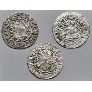 Zygmunt I Stary, Półgrosze Wilno 1519 - zestaw (3szt)
