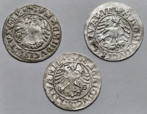 Sigismund I the Old, Vilnius 1519 half-penny - set (3pcs)