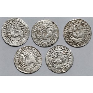 Zygmunt I Stary, Półgrosze Wilno 1519 - zestaw (5szt)