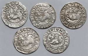 Sigismund I the Old, Vilnius 1519 half-penny - set (5pcs)