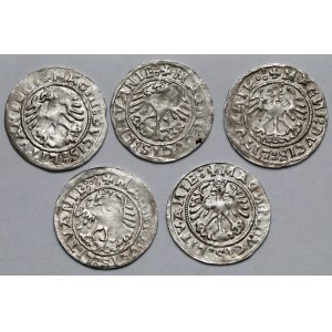 Zygmunt I Stary, Półgrosze Wilno 1519 - zestaw (5szt)