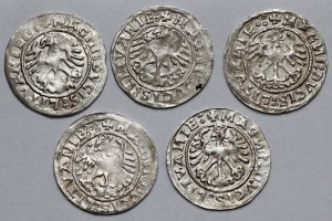 Sigismund I the Old, Vilnius 1519 half-penny - set (5pcs)