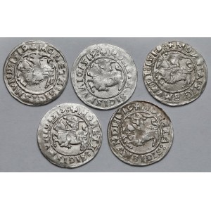 Zygmunt I Stary, Półgrosze Wilno 1519 - zestaw (5szt)